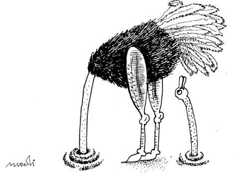 Medi Belortaja - Struci fut kokën në rërë