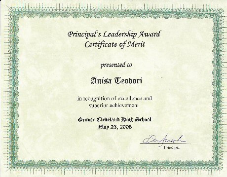 Cerificate of Merit