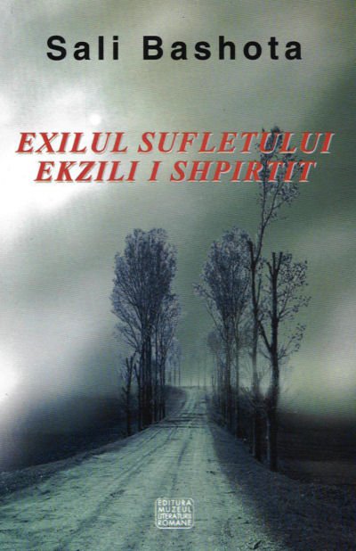 Sali Bashota - Ekzili i Shpirtit